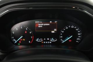 FORD Focus usata 6
