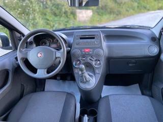 FIAT Panda usata, con Chiusura centralizzata telecomandata