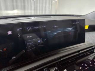 PEUGEOT 3008 usata, con Airbag testa