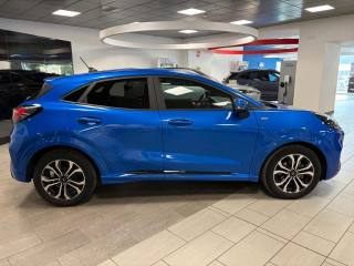 FORD Puma usata, con Fendinebbia