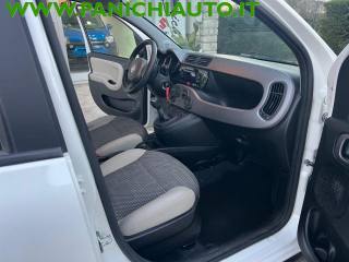 FIAT Panda usata, con Alzacristalli elettrici