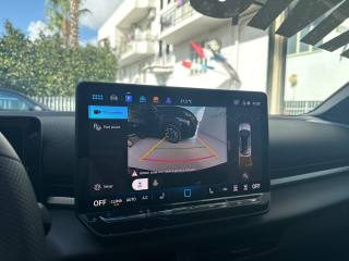 VOLKSWAGEN T-Roc usata, con USB