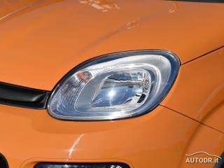 FIAT Panda usata 46