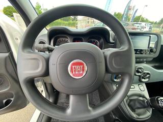 FIAT Panda usata, con Controllo trazione