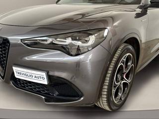 ALFA ROMEO Stelvio usata, con Leve al volante