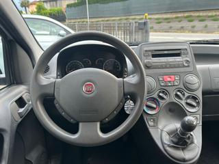 FIAT Panda usata, con Fendinebbia