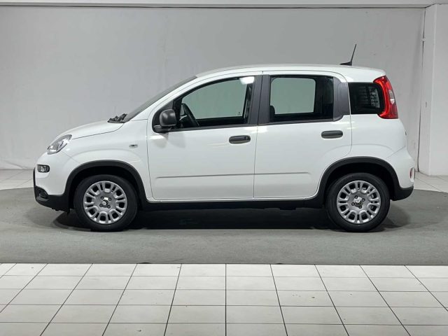 FIAT Panda usata, con Airbag