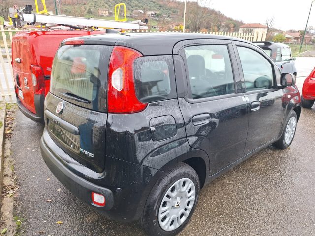FIAT Panda usata, con Controllo trazione