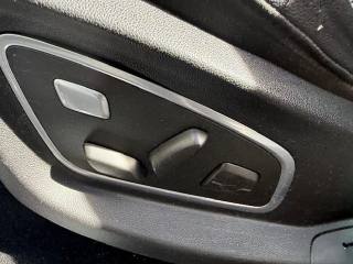 RENAULT Scenic usata, con Fendinebbia