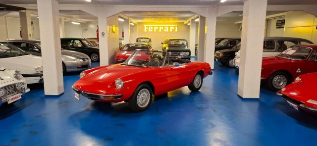 ALFA ROMEO Spider usata 38