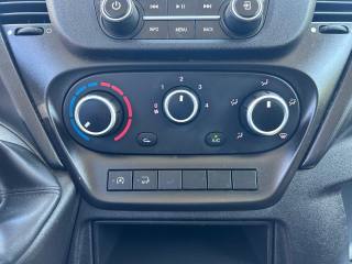IVECO Daily usata, con Cruise Control