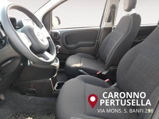 FIAT Panda usata, con Immobilizzatore elettronico