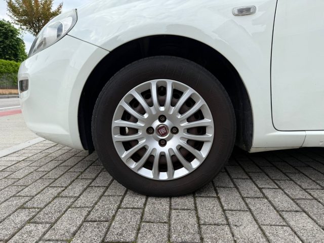 FIAT Punto usata 15