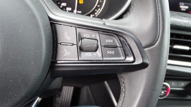 ALFA ROMEO Stelvio usata 90