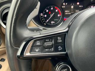 ALFA ROMEO Stelvio usata 21