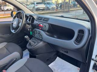 FIAT New Panda usata, con Airbag testa