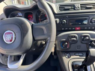 FIAT Panda usata, con Cronologia tagliandi