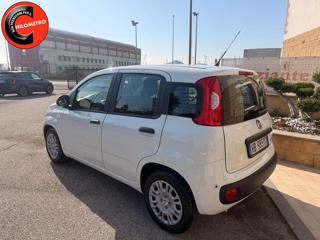 FIAT Panda usata 14