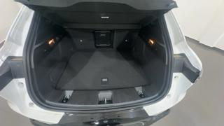 ALFA ROMEO Tonale usata, con Cruise Control