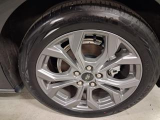 FORD Focus usata, con Servosterzo