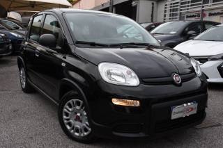 FIAT Panda usata, con Airbag