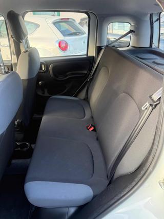 FIAT Panda usata 14