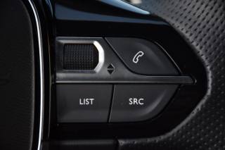 PEUGEOT 3008 usata, con Luci diurne LED