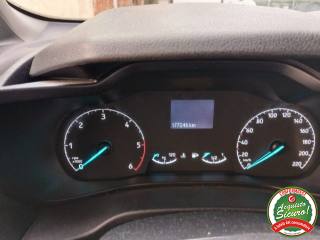 FORD Transit Connect usata 14