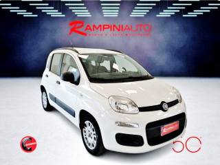 FIAT Panda usata 3