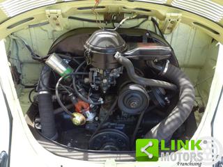 VOLKSWAGEN Maggiolone usata 20