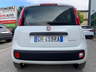 FIAT Panda usata, con Airbag testa