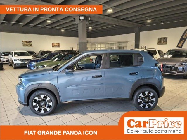 FIAT Grande Panda usata, con MP3