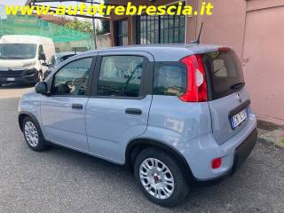 FIAT Panda usata, con Airbag Passeggero
