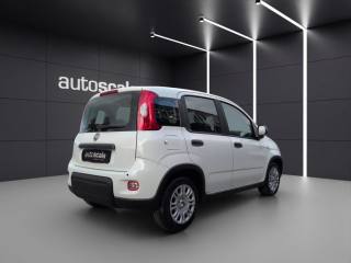 FIAT Panda usata, con Autoradio