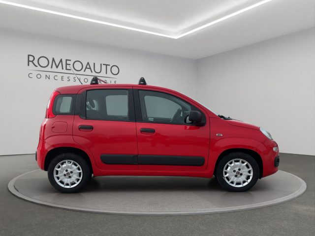 FIAT Panda usata, con Climatizzatore