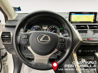 LEXUS NX 300 usata, con Cruise Control