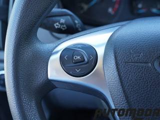 FORD Transit usata 16