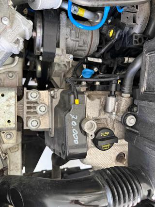 FIAT Punto usata 18