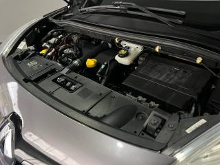 RENAULT Scenic usata, con Cronologia tagliandi