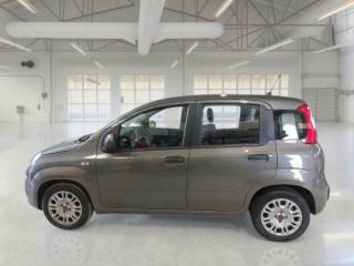 FIAT Panda usata, con ESP