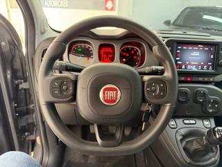 FIAT Panda usata, con Controllo trazione
