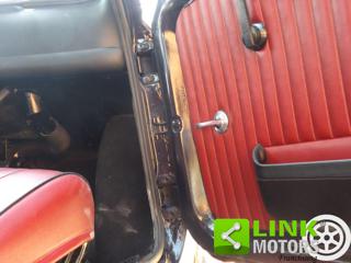 FIAT 500L usata 19