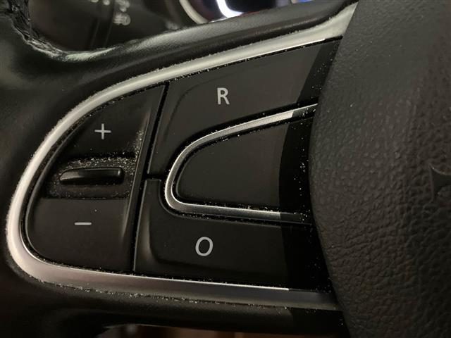 RENAULT Scenic usata, con Bracciolo