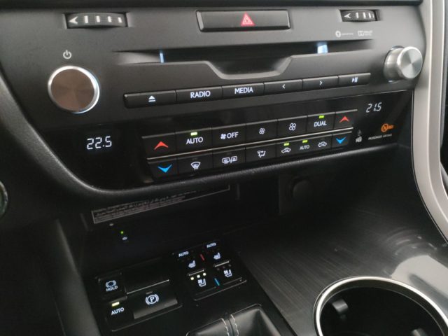 LEXUS RX 450h usata, con Servosterzo