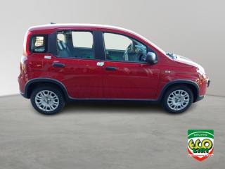 FIAT Panda usata, con Controllo trazione