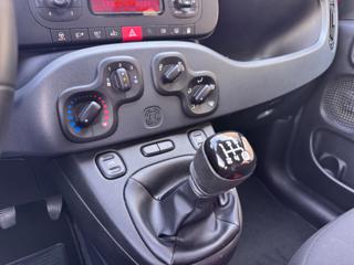 FIAT Panda usata 16