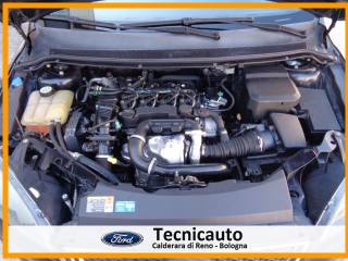 FORD Focus usata 18