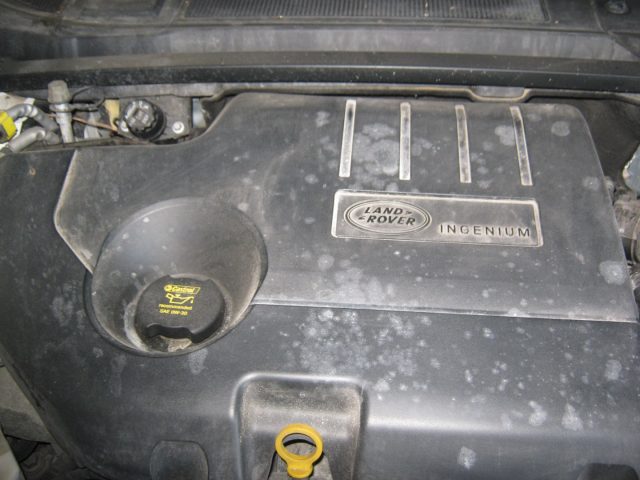 LAND ROVER Discovery Sport usata, con Airbag testa