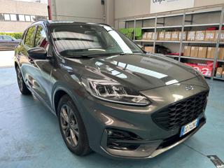 FORD Kuga 1.5 EcoBlue 120 CV 2WD ST-Line