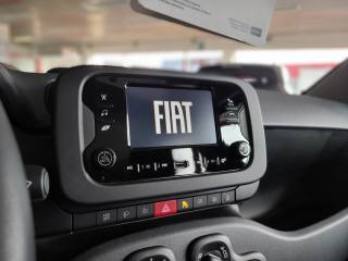 FIAT Panda usata, con Cruise Control